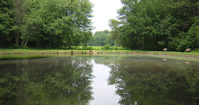 The Shirley Rod and Gun Club fish pond